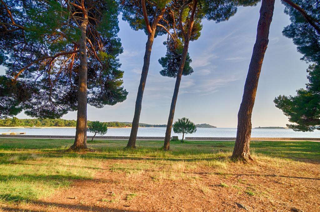 Apartment Tesic Close To The Sea With Shared 4Xbicycles ฟาชานา ภายนอก รูปภาพ